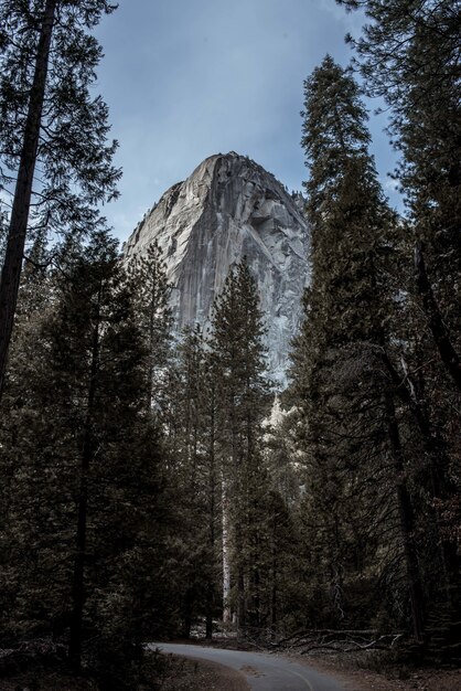 Beautiful scenery of green fir trees surrounded by high rocky mountains