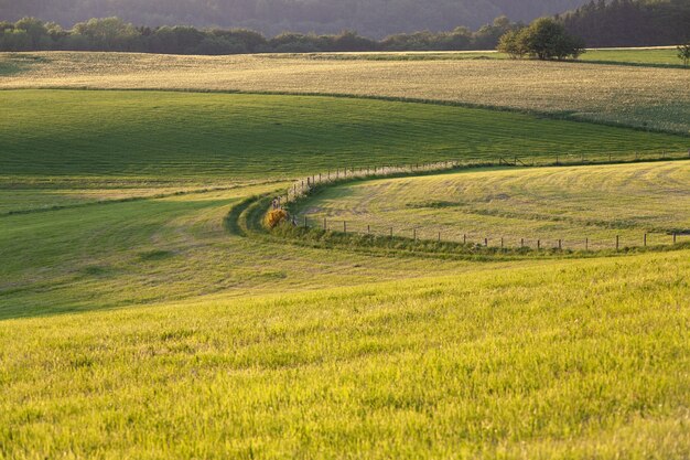 Beautiful scenery of a greenfield in the countryside in the Eifel region, Germany