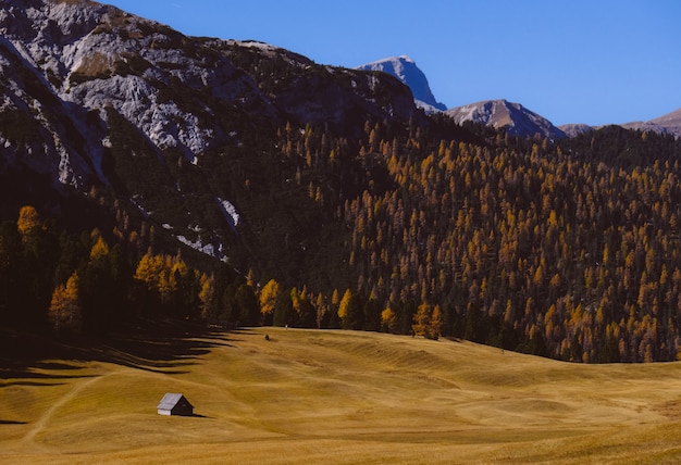 Beautiful scenery of high rocky mountains surrounded by green trees