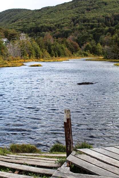 緑と建物に囲まれた湖の美しい風景