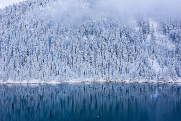 Beautiful scenery of a lake surrounded by snow-covered trees in the Swiss Alps, Switzerland