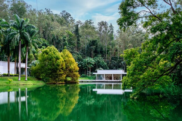 Beautiful scenery of the Mangal Das Garcas park in the city of Belem in Brazil