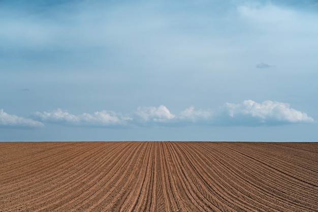 Бесплатное фото Красивые пейзажи возделываемого сельскохозяйственного поля под пасмурным небом