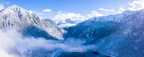 Бесплатное фото Красивый пейзаж леса в заснеженных альпах зимой