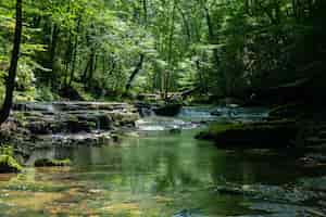 Бесплатное фото Красивый пейзаж реки в окружении зелени в дневное время