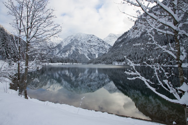 무료 사진 오스트리아 heiterwang의 높은 눈 덮인 산으로 둘러싸인 plansee 호수의 아름다운 풍경