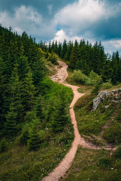 Beautiful scenery of a pathway on a hill surrounded by greenery under a cloudy sky