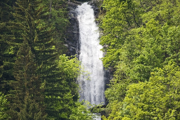 Красивый пейзаж мощного водопада в окружении зелени