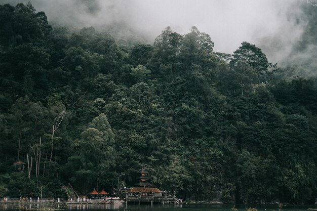 Красивые пейзажи тропического леса покрыты туманом возле красивого озера со зданиями