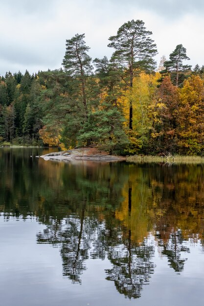 Красивые пейзажи ряда осенних деревьев, отражающихся в озере днем