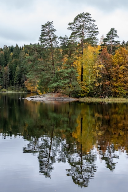 Beautiful scenery of a range of autumn trees reflecting in the lake at daytime