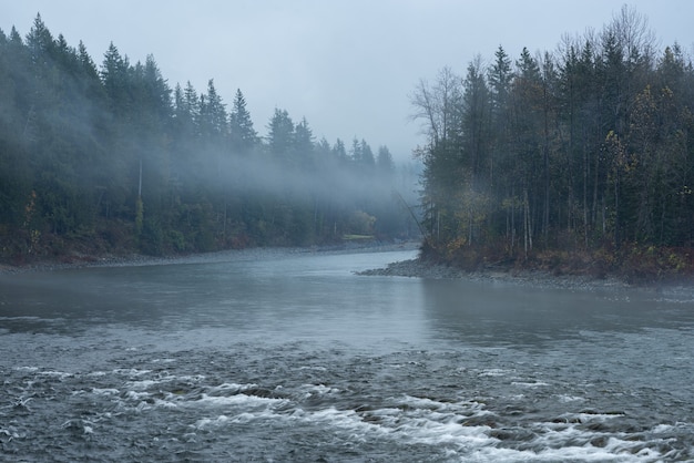 Beautiful scenery of a river surrounded by green trees enveloped in fog