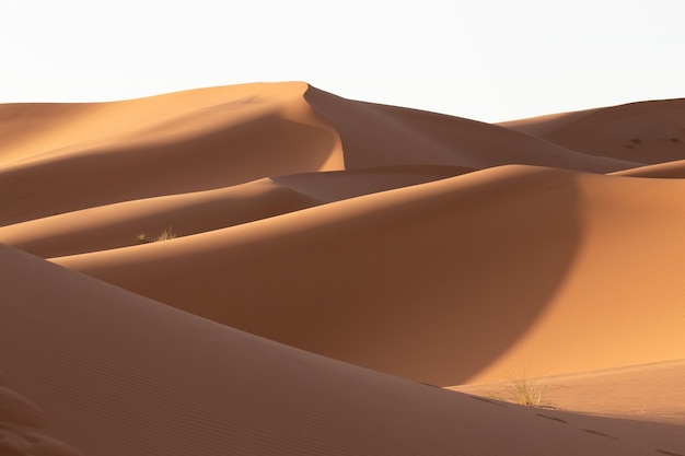 Beautiful scenery of sand dunes in a desert area on a sunny day