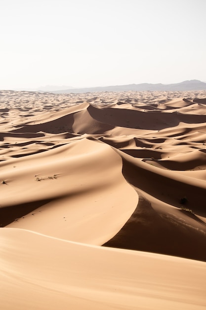 Beautiful scenery of sand dunes in a desert area on a sunny day