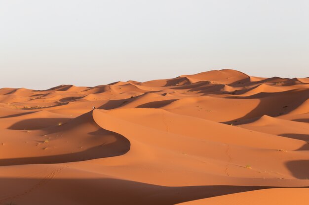 Beautiful scenery of sand dunes in a desert area on a sunny day