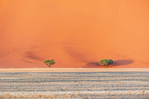 나미비아 사막, Sossusvlei, 나미비아에있는 모래 언덕의 아름다운 풍경