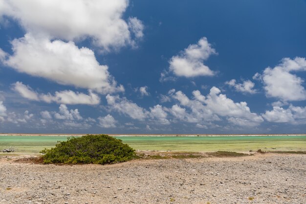 ソルトパンの熱帯のエキゾチックなビーチの美しい風景。ボネール、カリブ海