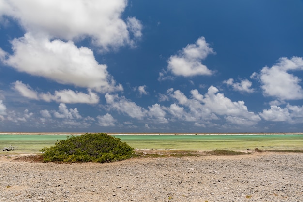 소금 프라이팬에 열 대 이국적인 해변의 아름 다운 풍경. 보네르, 카리브해