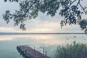 Free photo beautiful scenery of a wooden dock by the sea surrounded by green plants