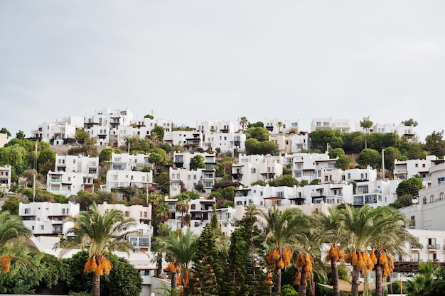 Красивый живописный пейзаж с небольшими зданиями на горе с пальмами Курорт с экзотическими пейзажами Популярная достопримечательность Бодрум Турция