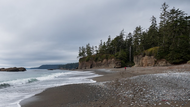 Beautiful seascape with trees and cloudy sky