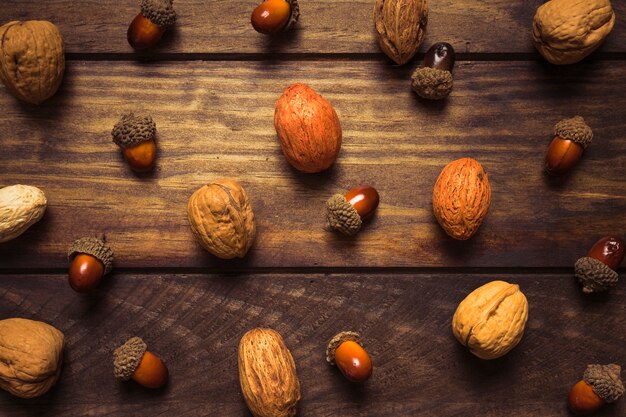 Beautiful set of assorted autumn nuts 