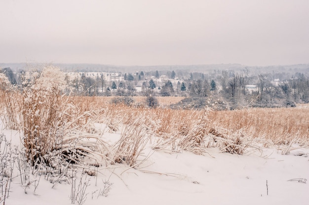 펜실베니아에서 눈 덮인 시골의 놀라운 풍경의 아름다운 샷