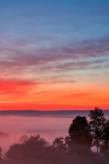 Beautiful shot of the amazing sunset with the red sky over a misty forest in the countryside
