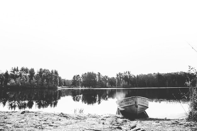 Free photo beautiful shot of a boat on the water near the shore with trees in the distance in black and white
