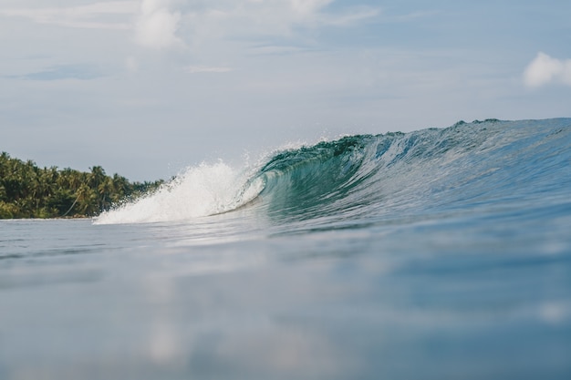 Beautiful shot of the breaking waves of the sea with the trees