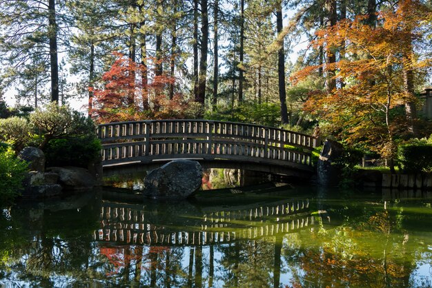 Beautiful shot of a bridge across a swap with tall trees