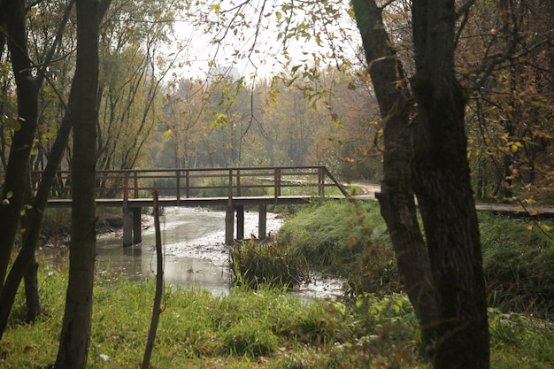 秋のモスクワの公園で川を橋の美しいショット