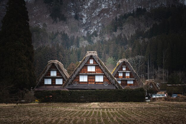 白川日本の建物の美しいショット