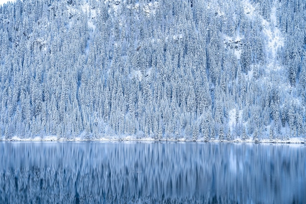 Красивый снимок спокойного озера с лесными горами, покрытыми снегом