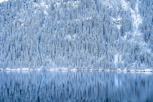 Beautiful shot of a calm lake with forested mountains covered in snow