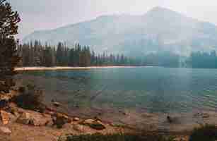 Free photo beautiful shot of a calm lake in yosemite national park in california.