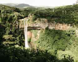 Foto gratuita bella ripresa di una cascata di chamarel nella giungla dell'isola di mauritius