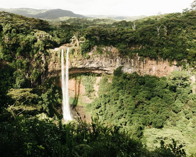 Beautiful shot of a Chamarel waterfall in the jungle of Mauritius island