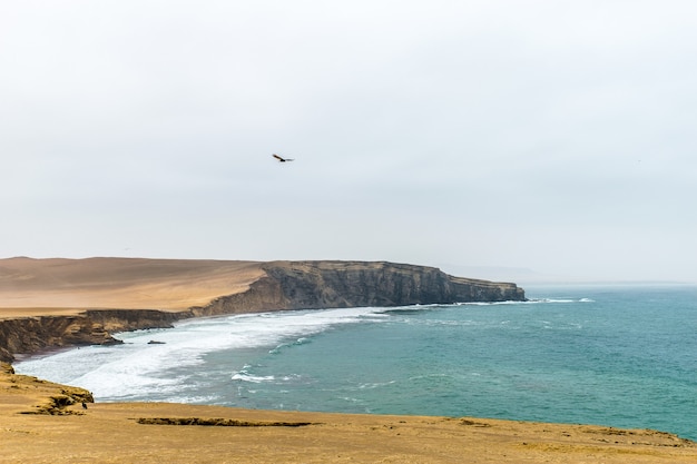 Beautiful shot of cliff near the sea with a bird flying under a cloudy sky