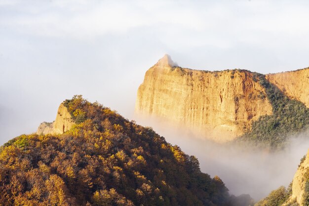 Beautiful shot of the cliffs covered in trees on a foggy day