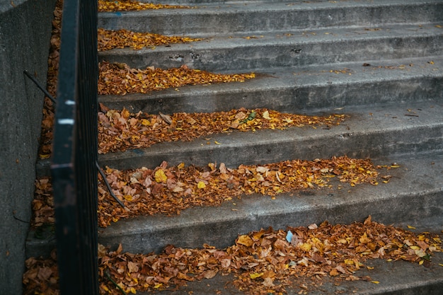 Beautiful shot of colorful autumn leaves fallen on the stairs