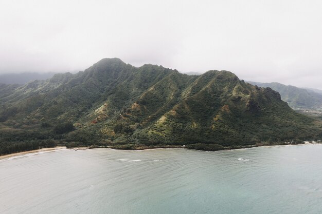 Beautiful shot of a crouching lion hike kaaawa in hawaii USA