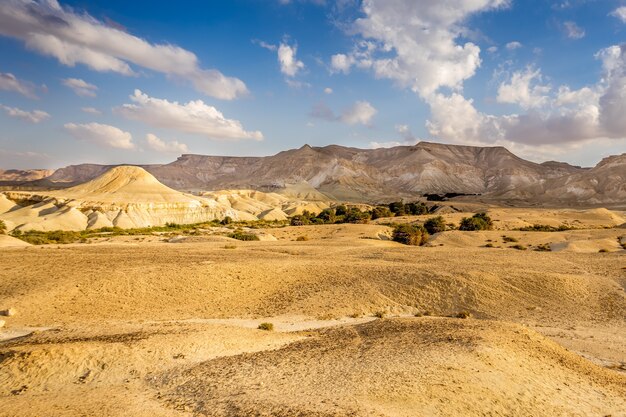 Красивый снимок пустынного поля с горами и пасмурным голубым небом