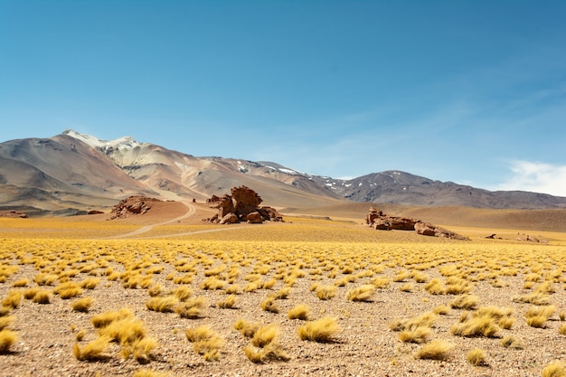 Красивый снимок пустынных пейзажей на закате в Чили