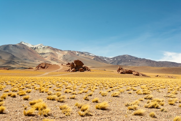 Beautiful shot of desert landscapes at sunset in Chile