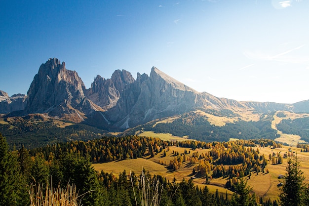 Beautiful shot of the dolomite with mountains and trees under a blue sky in Italy
