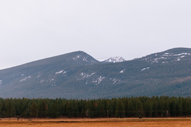 Beautiful shot of a dry field with greenery and high rocky hills and mountains