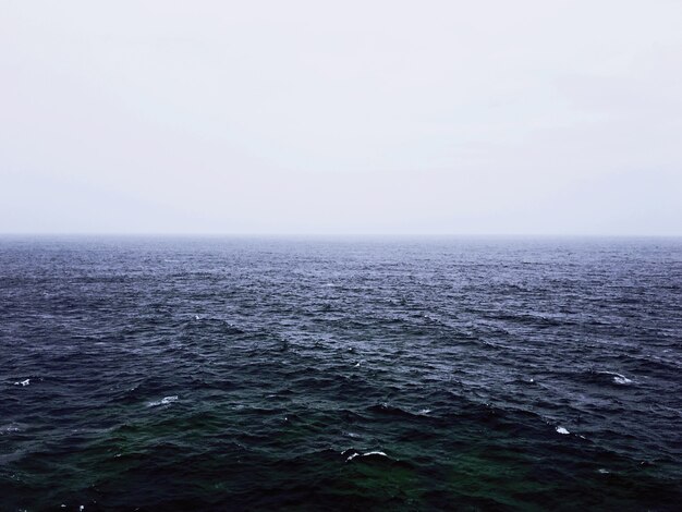 Красивый снимок пустого моря на туманном фоне