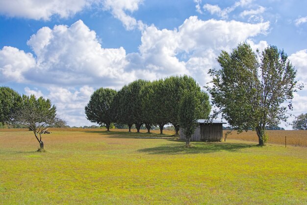 Красивый снимок нескольких деревьев и небольшой дом в долине под облачным небом