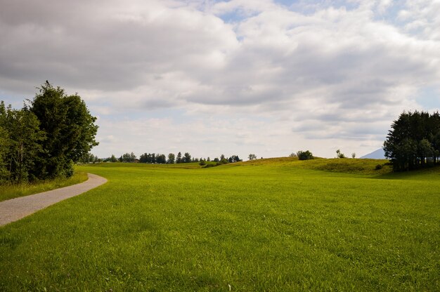 Красивый снимок поля у дороги в Германии